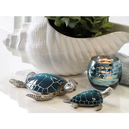 tortue 
